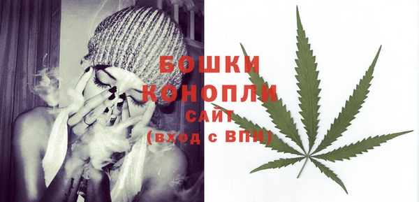 PSILOCYBIN Беломорск